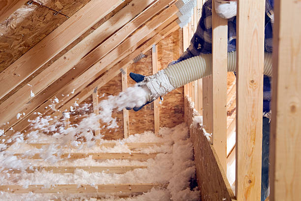 Best Attic Insulation Installation in USA